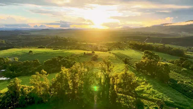 Jihlava_Image_Video